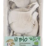 B BIO pleurotes (250g)