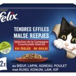FELIX tendres effilés gelée chat 12x85g