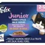 FELIX tendres effilés chat junior 12x85g