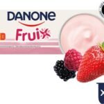 DANONE fruix yaourt fruits rouges 8x125g