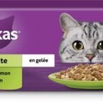 WHISKAS mix gelée 1+ (40x85g)
