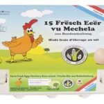 oeufs M 15pc