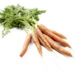 botte de jeunes carottes à feuillage (pc)