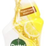 DETTOL Power&Fresh spray citron (750ml)