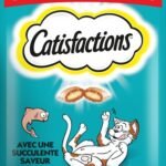 CATISFACTIONS saumon (180g)