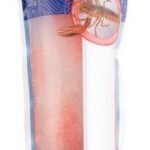 B homard cuit MSC (450g)