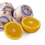 PAPILLON oranges 4pc