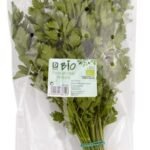 B BIO persil plat botte 1pc