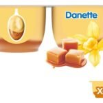 DANETTE Crème dessert DS VanCaram (4x125g)