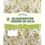 B germes de soja 300g