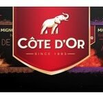CÔTE D'OR Mignonnette Variété 320g
