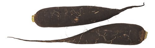 1978249 radis noirs ±1kg – Image 1