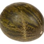 B melon Piel de Sapo 1pc