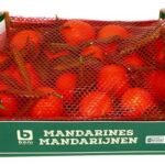 B mandarines 2,3kg