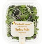 PACHAGREENS Micropous.lég.mix spicy 55g