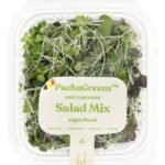 PACHAGREENS Micropousse mix salade 55g