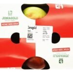 B pomme jonagold 6pc