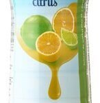 B sirop citron-cit.vert 0% sucre 75cl