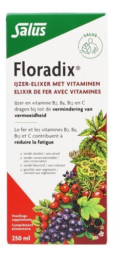3921770 FLORADIX Elixir de fer 250ml – Image 1