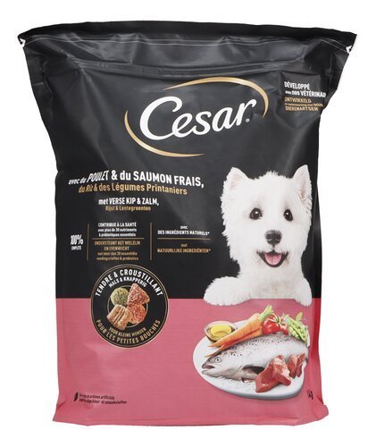 3944512 CESAR small dog poulet & saumon 1,4kg - Image 1