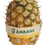 B Ananas sans couronne 1pc