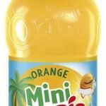 OASIS MINI Orange 25cl