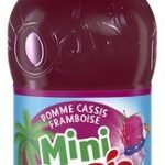 OASIS MINI Pomme-cassis-framboise 25cl