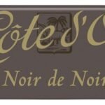 CÔTE D'OR noir de noir 150g