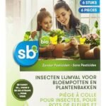 SB autocollants insectes fleurs 6pc