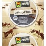 COMPO Mirazyl anti-fourmis 2pc