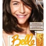 GARNIER Belle Color Châtain 22 (1pc)