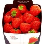 HOOGSTRATEN Fraises 500g