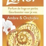LENOR perles parfum ambre&orchidée 240g