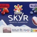 YOPLAIT SKYR Skyr Fruits Ro.Myrt 8x100g