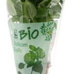 BONI BIO basilic plante 1pc