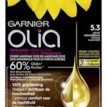 GARNIER Olia châtain doré 5.3
